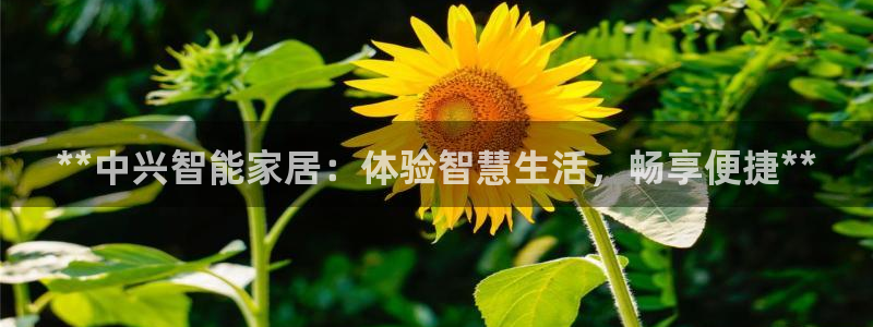 ug环球凯发