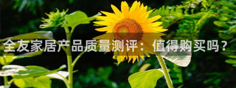 ug环球在线开户