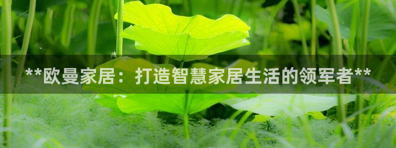 ug环球会员开户