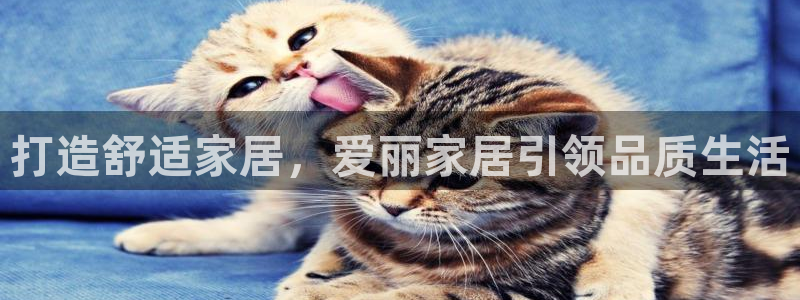 uG环球网站