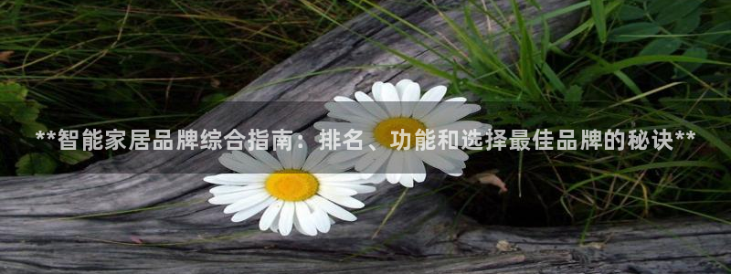 ug环球假网一比一