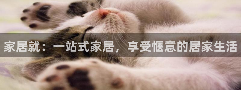 UG环球代理合作