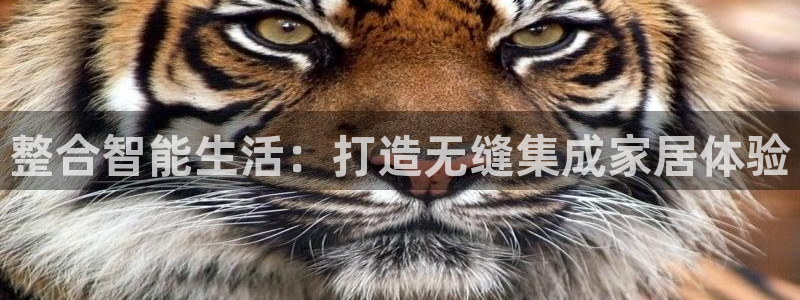 ug环球国际360