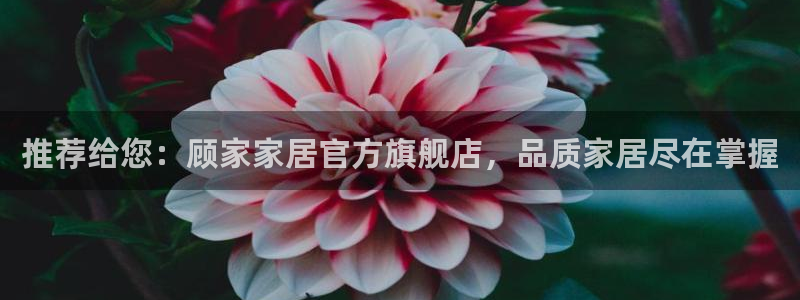 ug环球官网合作