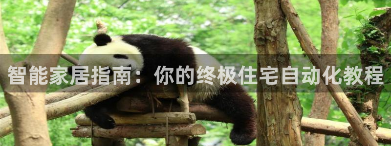 ug环球app下载