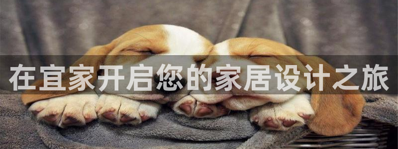 UG环球官网