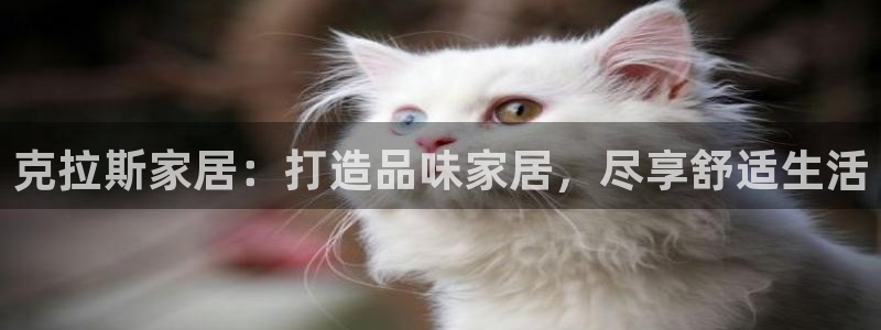 UG环球视讯