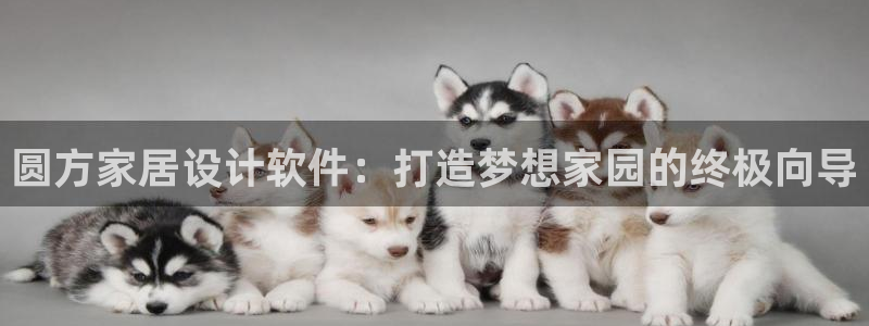 ug环球买代理