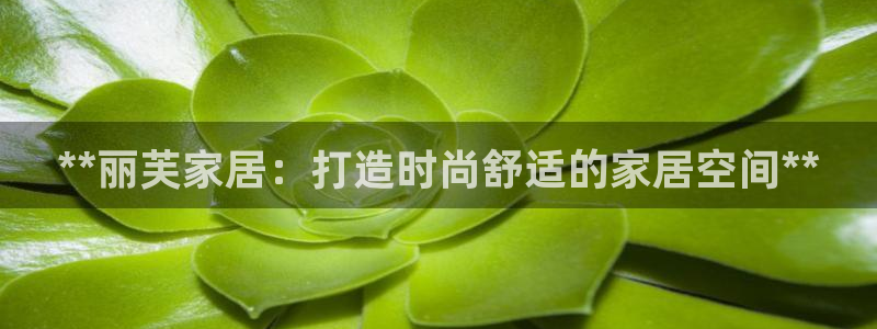ug环球官网会员