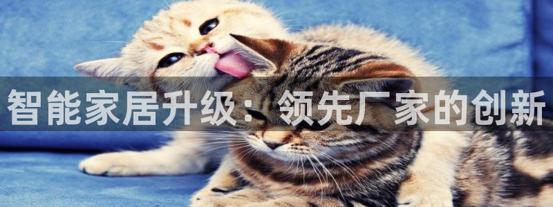 ug环球正网包杀