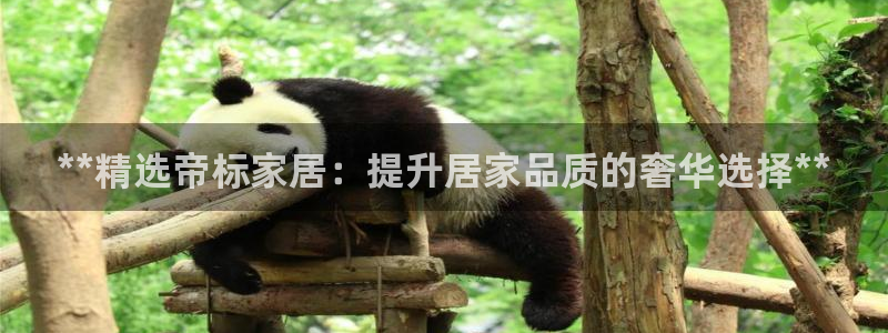 ug环球会员手机版下载官网