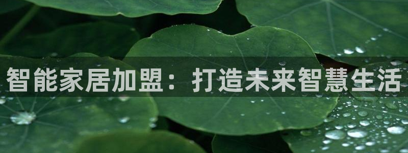 UG环球官方网