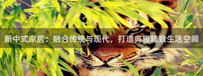 ug环球会员手机版下载官网