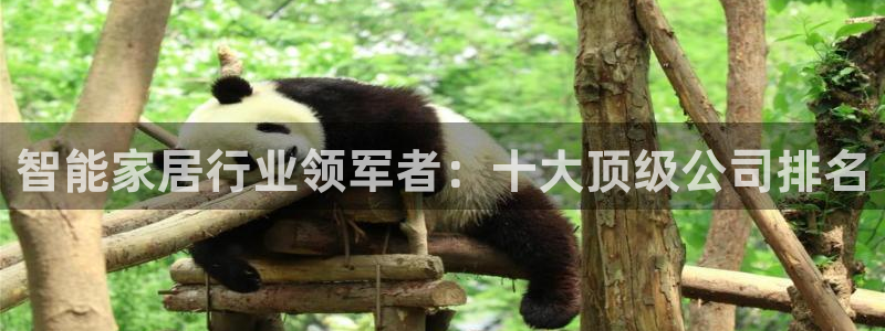 ug环球正网