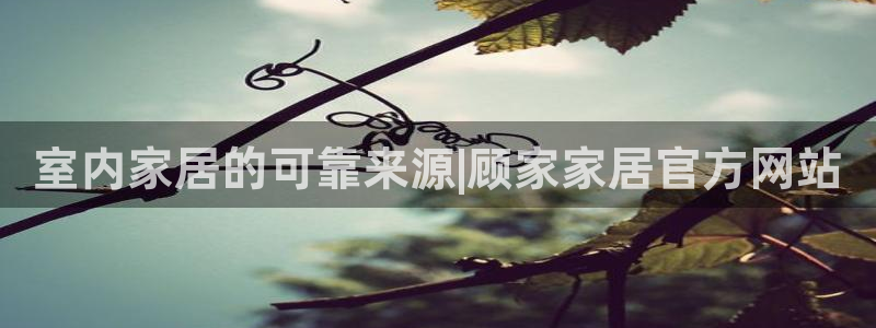 ug环球买分卖分
