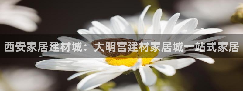 ug环球真假