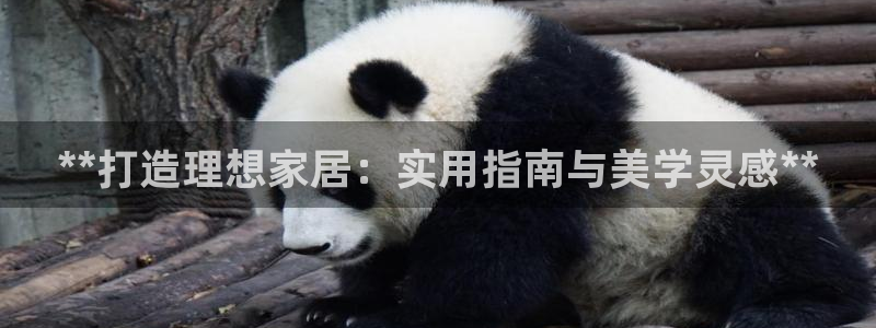 ug环球代理合作