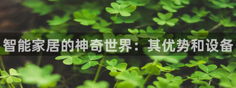 Ug环球网网址
