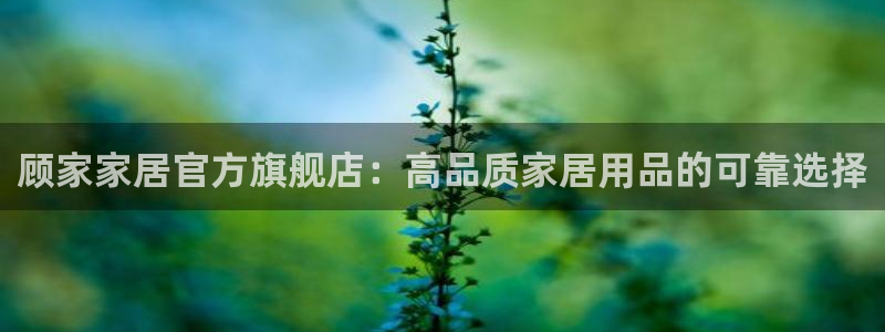 ug环球游戏网站官网