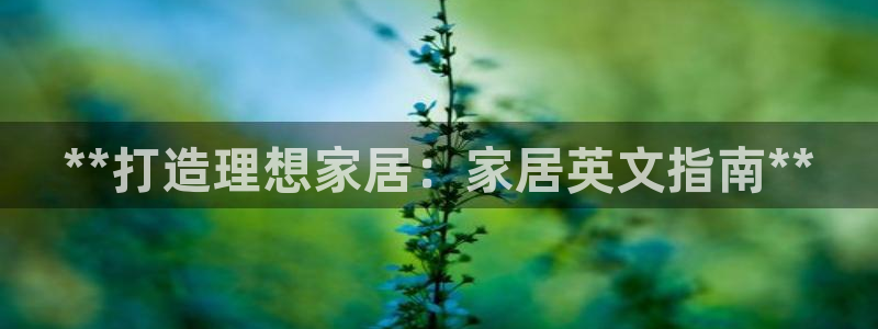 ug环球官网会员