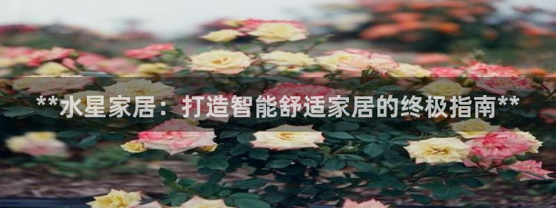 ug环球包杀网一比一