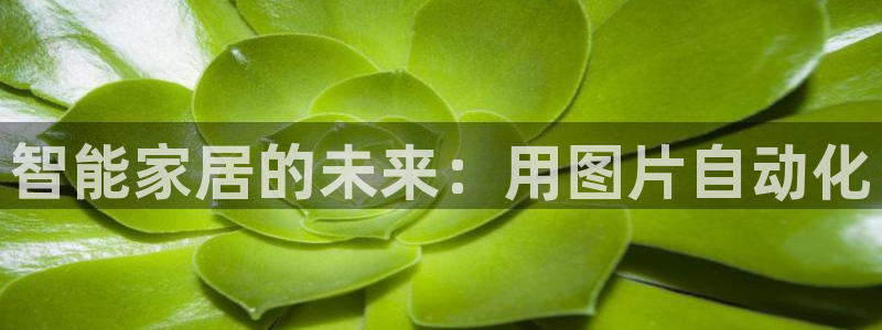 UG环球官方网