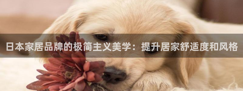 ug环球视讯官网