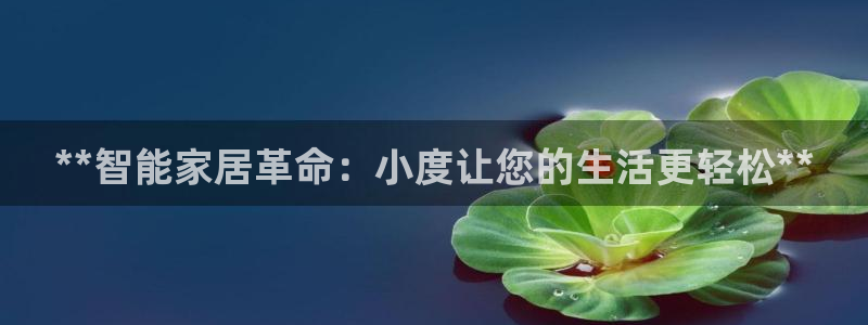 ug环球买代理