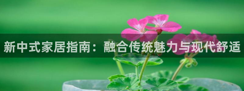环球国际ug