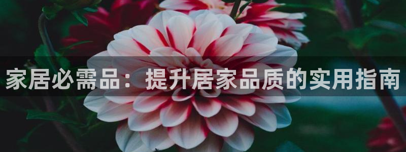 ug环球代理