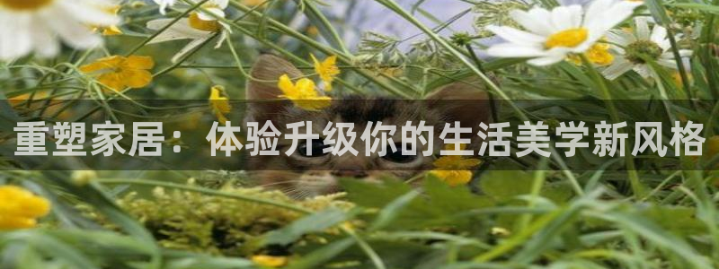 ug环球视讯充值