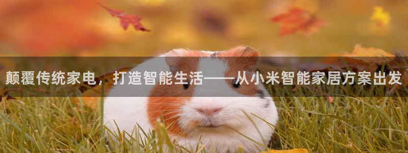 环球ug包杀网
