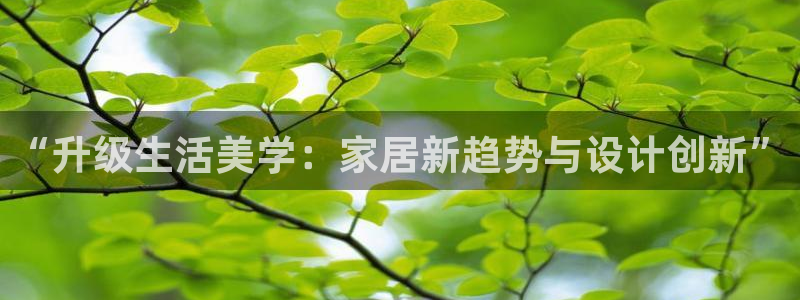 ug环球官网开户