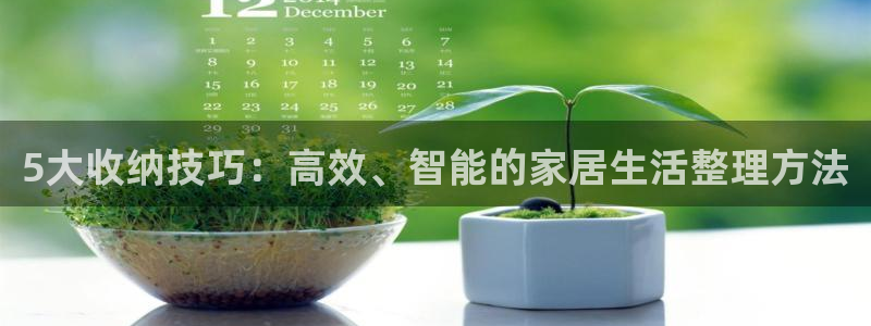 UG环球假网合作：5大收纳技巧：高效、智