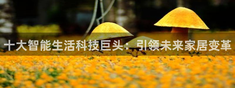 UG环球视讯