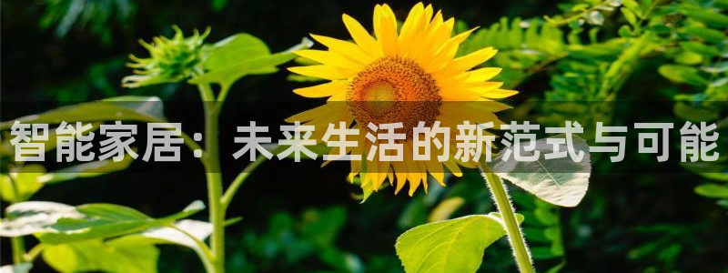 ug环球密码重置是多少位数