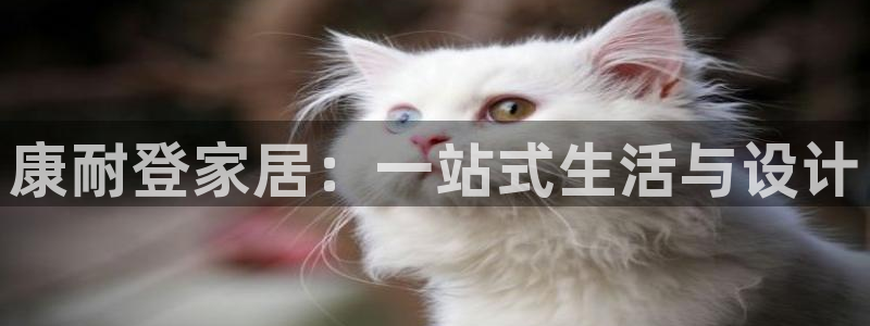 ug环球密码重置是多少位数啊